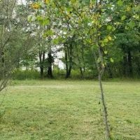 6 acres Off-Grid Recreational Property with Pond and Views in Andover NY 1868 Hess Rd images 5