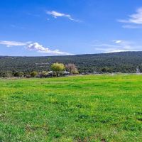 Molina Farm images 5