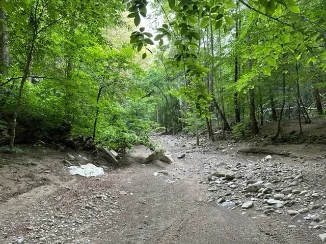 Lot 43 Buckeye Lane featured image