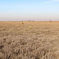 Gattis Farm images 2