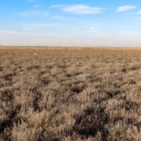 Gattis Farm images 3