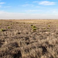 Gattis Farm images 5