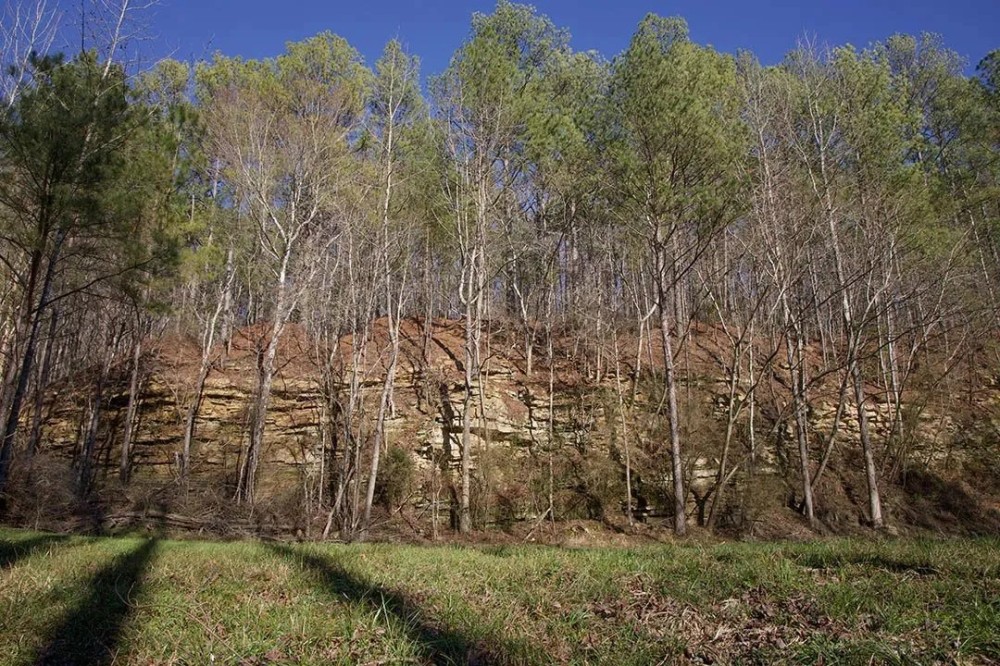92 Acres in Marion County AL featured image