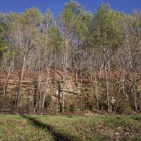 92 Acres in Marion County AL