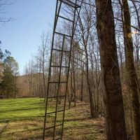 92 Acres in Marion County AL images 3