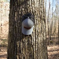 92 Acres in Marion County AL images 5