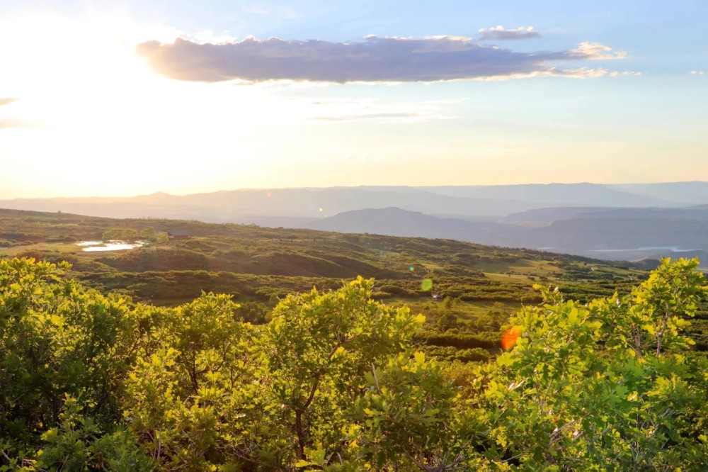 Grand Mesa Hunting Camp featured image