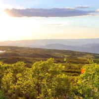 Grand Mesa Hunting Camp