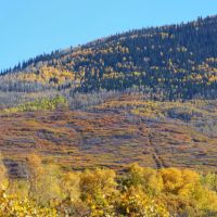 Grand Mesa Hunting Camp images 2
