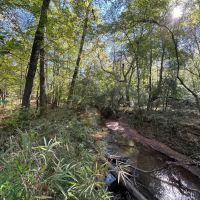 522 acres in Spalding County images 4