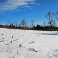 63 acres Farm Fields Woodlands and Stream in Smyrna NY 911 NY-80 images 2