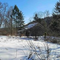 63 acres Farm Fields Woodlands and Stream in Smyrna NY 911 NY-80 images 4