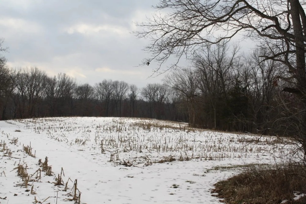 161 - Acres Fulton County featured image