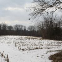 161 - Acres Fulton County