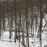 161 - Acres Fulton County images 4