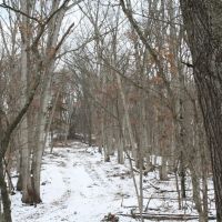 161 - Acres Fulton County images 5