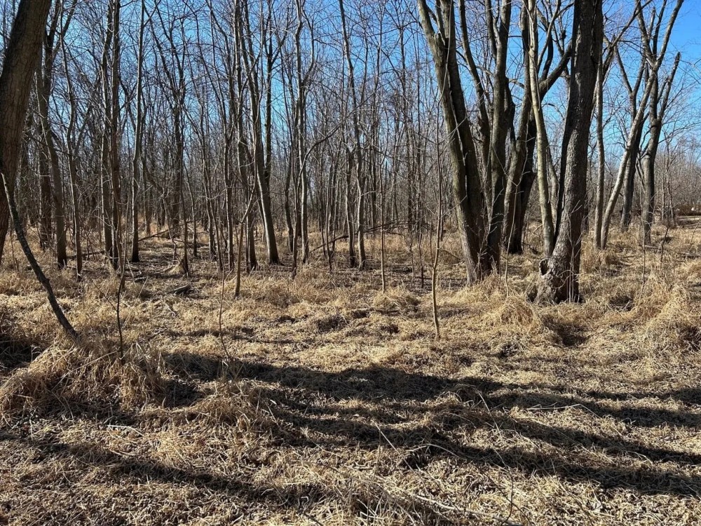 Rock Island 68 Acres featured image