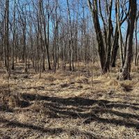 Rock Island 68 Acres