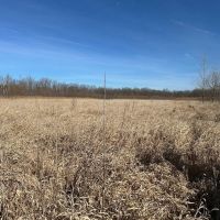 Rock Island 68 Acres images 2