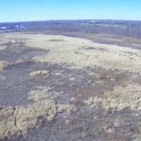 Rock Island 68 Acres images 5