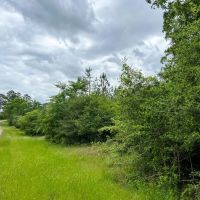 38 Acres T-4 CR 2145 images 3