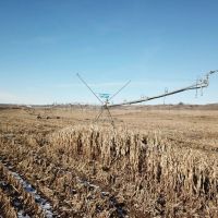Pivot Irrigated and Ready to Farm images 2