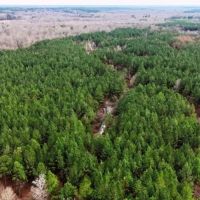 80 Acres in Winston County in Noxapater MS