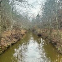 80 Acres in Winston County in Noxapater MS images 4
