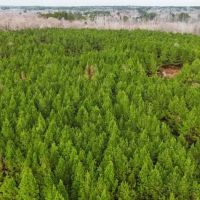 80 Acres in Winston County in Noxapater MS images 5