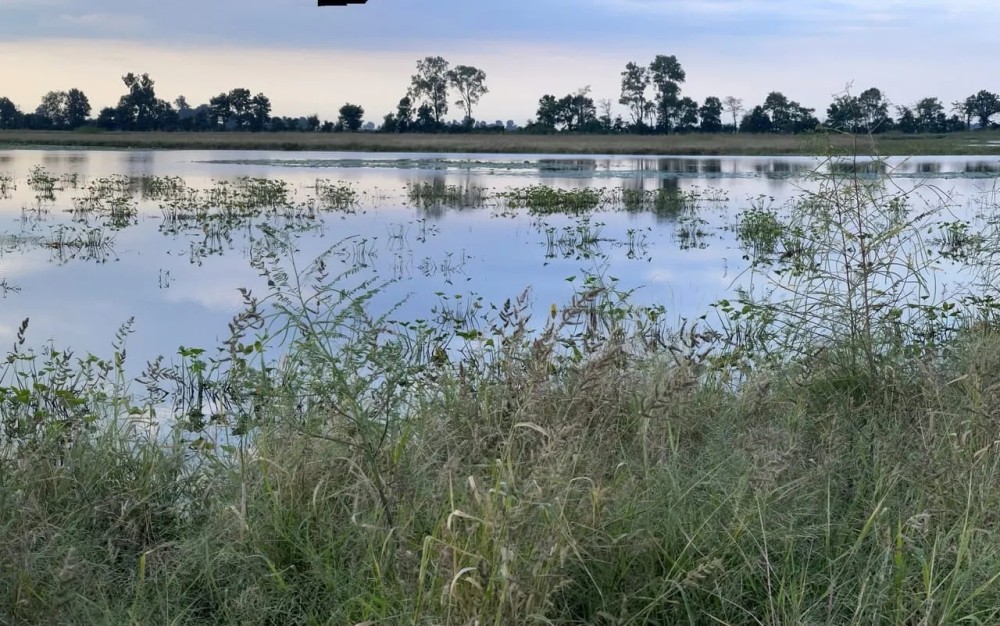 433 - acres Waterfowl property New Madrid County Missouri featured image