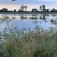433 - acres Waterfowl property New Madrid County Missouri