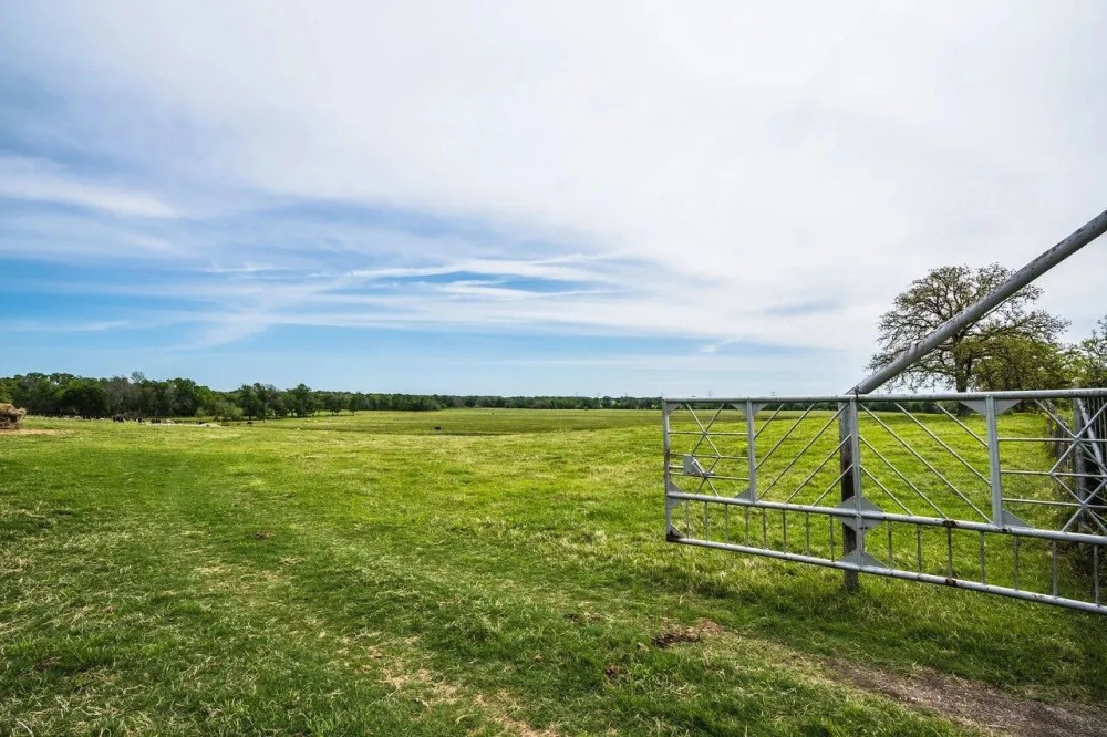 Steele Creek Cattle Ranch- 108 AC in Robertson County featured image