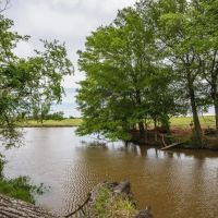 Steele Creek Cattle Ranch- 108 AC in Robertson County images 3