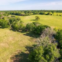 Steele Creek Cattle Ranch- 108 AC in Robertson County images 4
