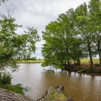 Steele Creek Cattle Ranch- 108 AC in Robertson County images 5