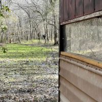 180 Acres in Scott County MS