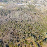 30.68 Acres of Prime Vacant Land in Madison - Ideal for Investment or Development images 3