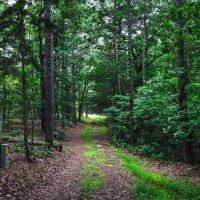 Hogans Hideout images 3