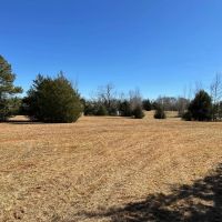 - 43.02 Acres on Old Hundred Road images 3