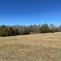 - 43.02 Acres on Old Hundred Road images 5