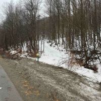 18 acres Hunting Land and Recreational Land in Wirt NY County Road 34 images 3