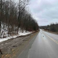 18 acres Hunting Land and Recreational Land in Wirt NY County Road 34 images 4