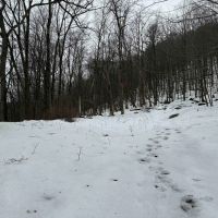 18 acres Hunting Land and Recreational Land in Wirt NY County Road 34 images 5