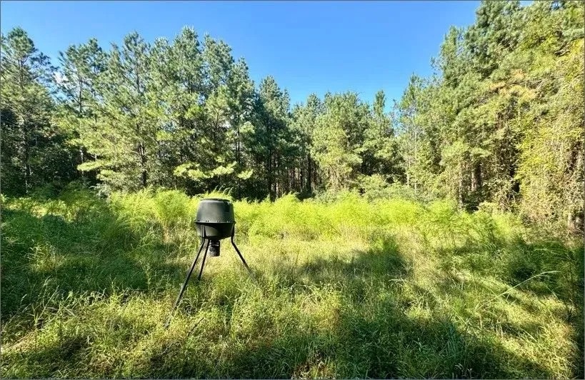 285 Acres in Hancock County in Picayune MS featured image