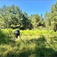 285 Acres in Hancock County in Picayune MS