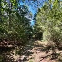 285 Acres in Hancock County in Picayune MS images 2