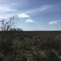Img 0082