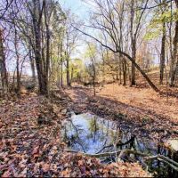 300 acre exclusive turkey lease