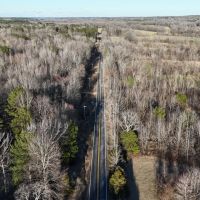 31.43 Acres in Hardeman County TN images 4