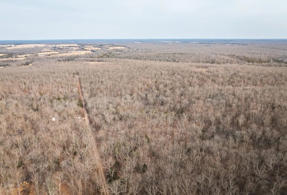 County Line Deer Camp featured image